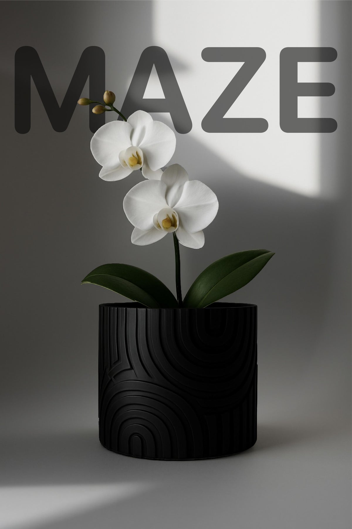 Maze