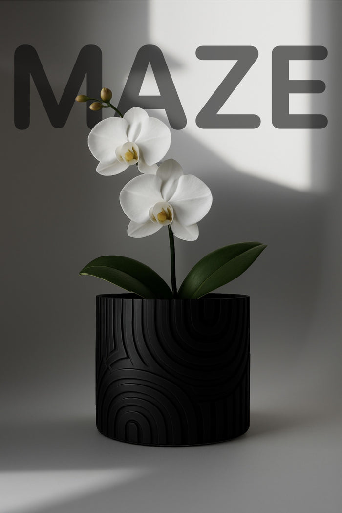 Maze